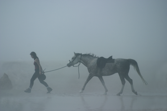 Brume 11.png